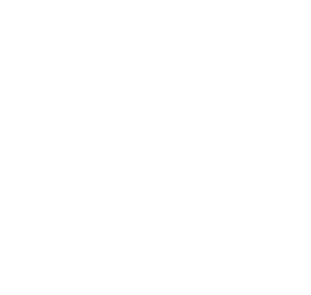 Logo Retail Software